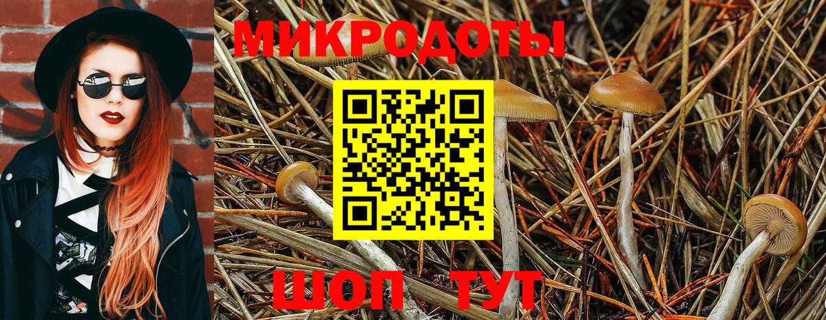 Галлюциногенные грибы ЛСД  Псилоцибиновые грибы GOLDEN TEACHER  Вход с VPN  Чернушка 