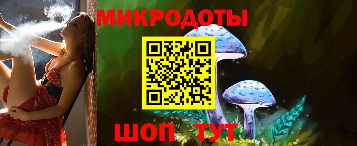 Псилоцибиновые грибы прущие грибы Чернушка